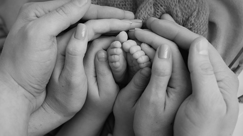 Life Insurance