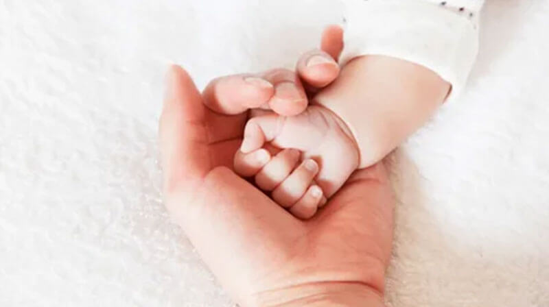 Life Insurance