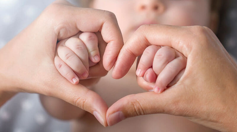 Life Insurance
